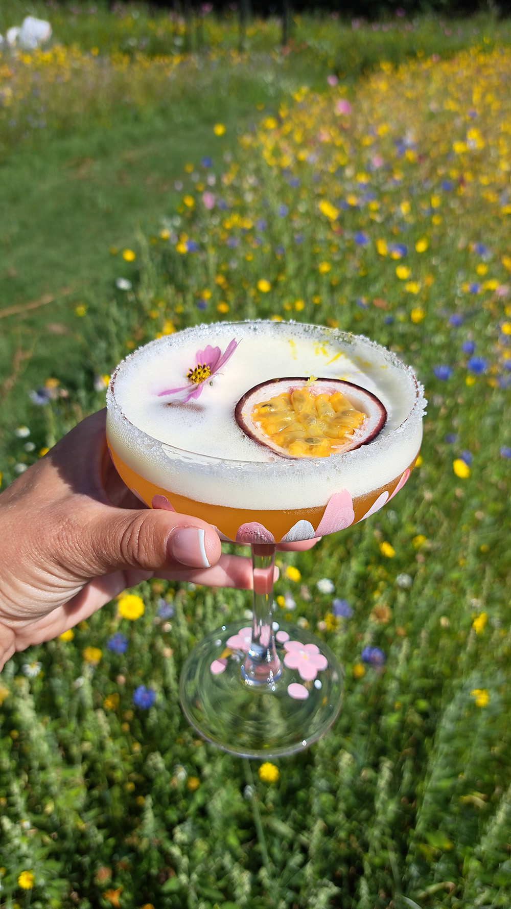 Coupe Cocktail 16